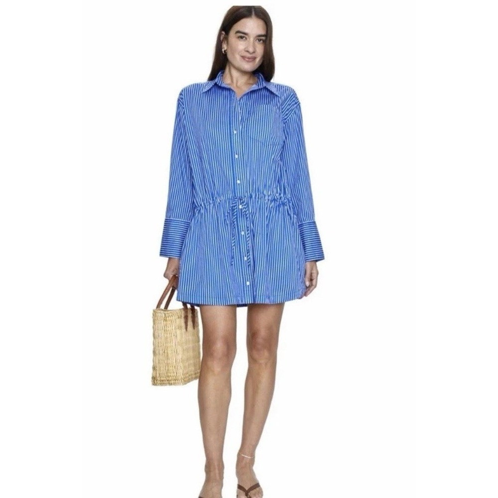 pistola Blue and White Striped Long Sleeve Shirt Dress